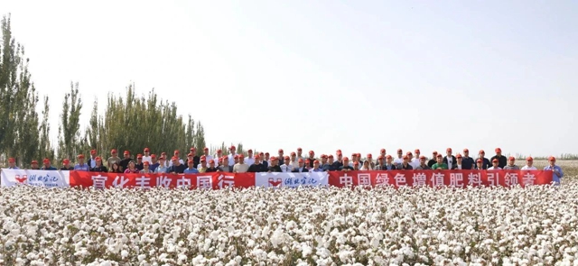 宜化豐收中國行！新疆棉花大型測產(chǎn)觀摩會(huì)成功舉行