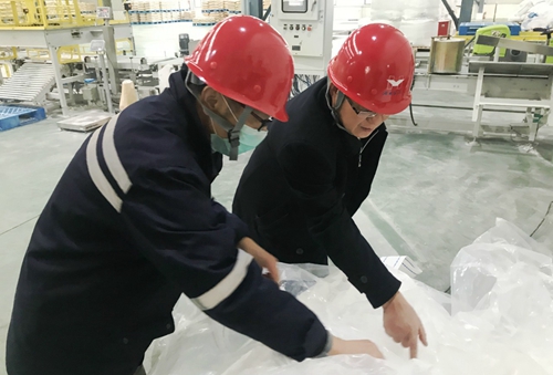 王大真到新材料公司、TPO項(xiàng)目現(xiàn)場和股份公司檢查工作